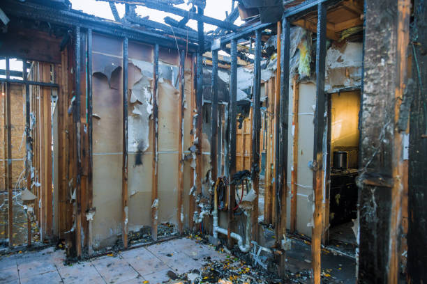 Professional Fire Damage Assessment technician working in Ann Arbor, MI